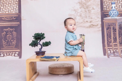 陇南可爱的企鹅宝宝